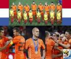 Hollanda, Futbol Dünya Kupası 2010 Güney Afrika 2 yer